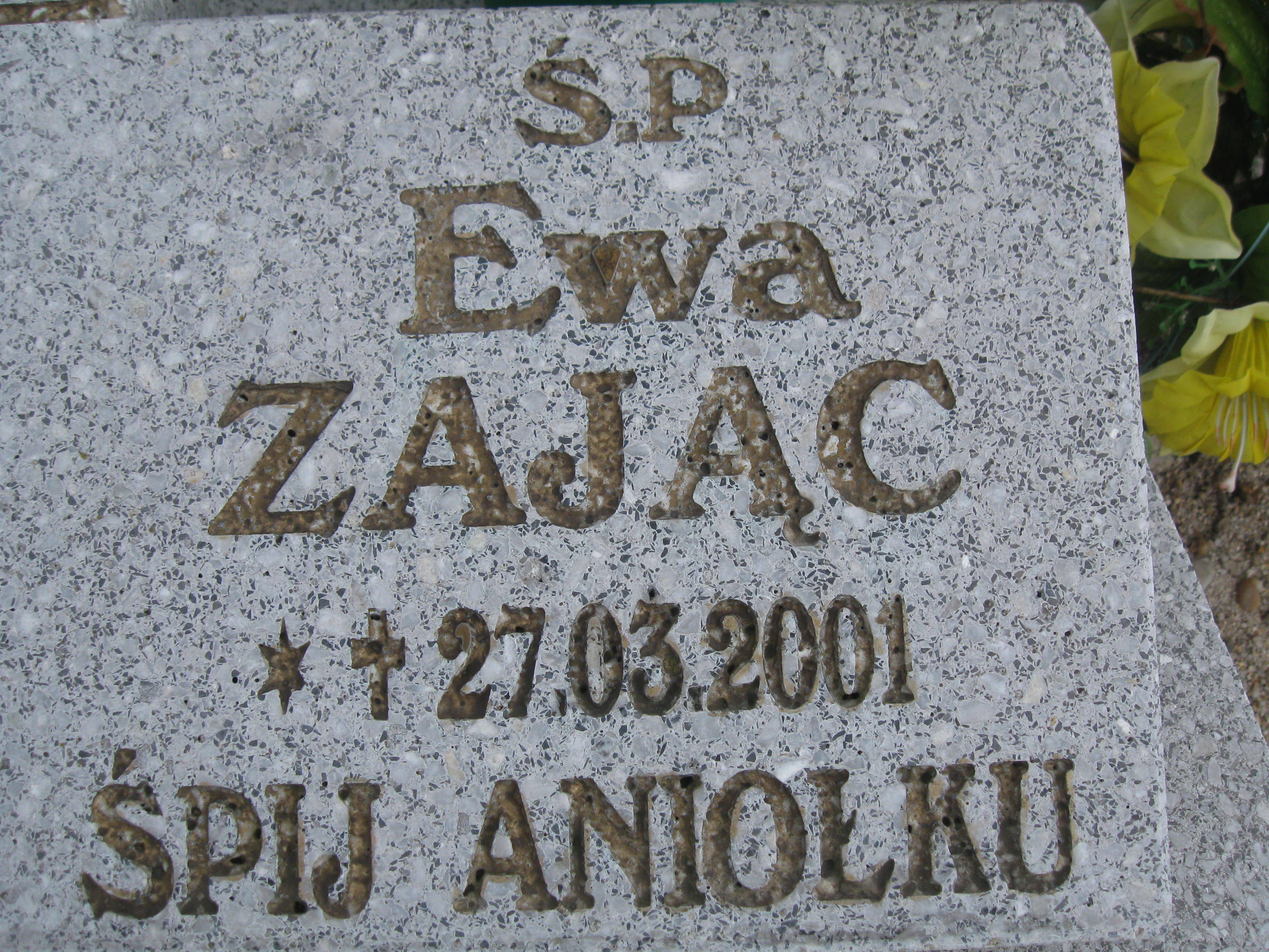  - Grobonet - kup kwiaty