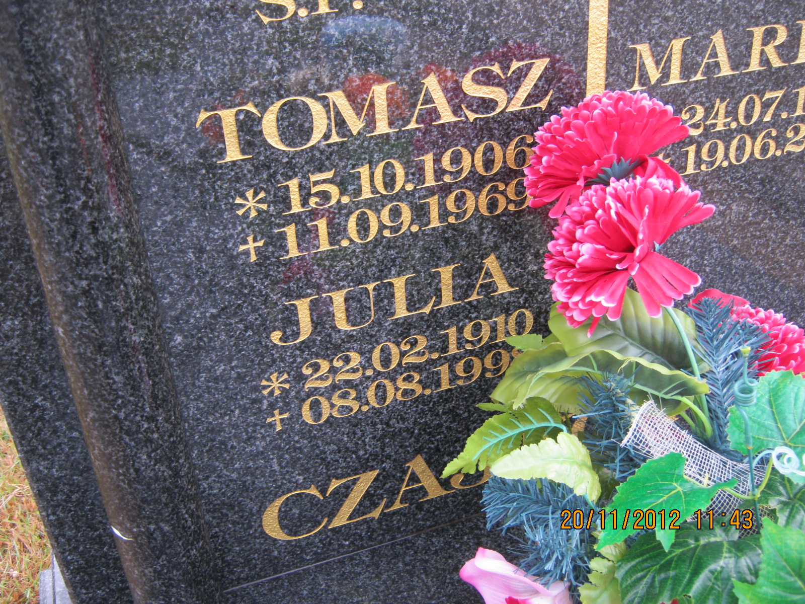 Julia Czajkowska Przewóz - Grobonet - Wyszukiwarka osób pochowanych