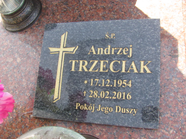 Genowefa Trzeciak 1930 Przewóz - Grobonet - Wyszukiwarka osób pochowanych